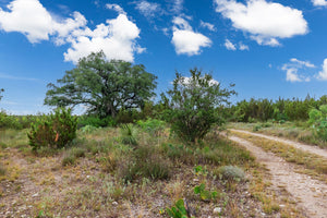 Coffee Ranch