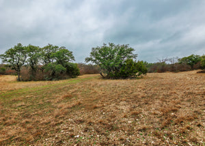 Hill Top Ranch