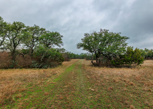 Hill Top Ranch