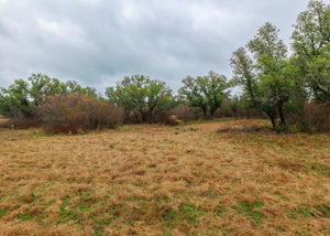 Hill Top Ranch