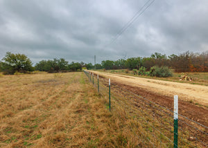 Hill Top Ranch