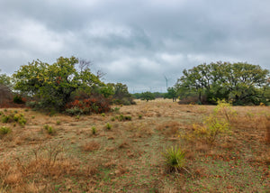 Hill Top Ranch