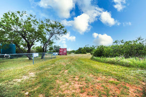 Daisy's Ranch