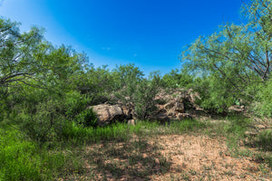 The Elbow Ranch