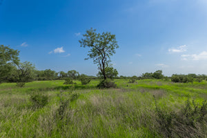 The Elbow Ranch