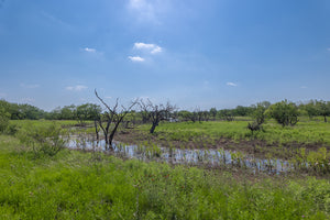 The Elbow Ranch
