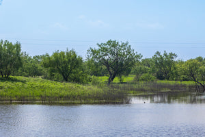 The Elbow Ranch