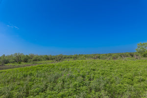 The Elbow Ranch