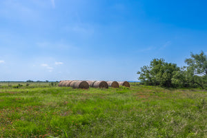The Elbow Ranch