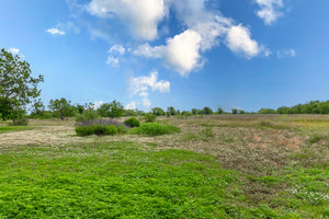 Tomlinson Ranch