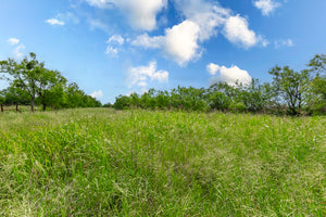 Tomlinson Ranch