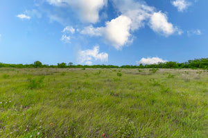 Tomlinson Ranch