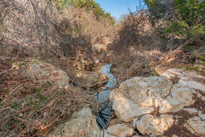 1222 Ranch