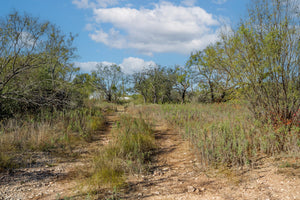 Dannheim Ranch