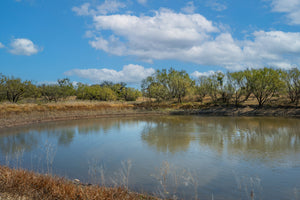 Dannheim Ranch