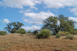 Dannheim Ranch