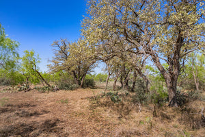 Shady Oaks Ranch