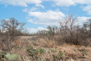 46A Ranch