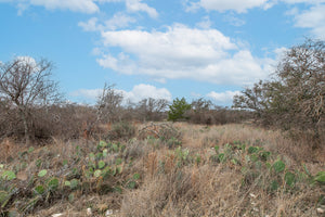 46A Ranch