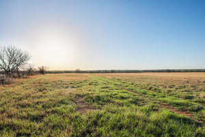 Antelope Camp & Farm