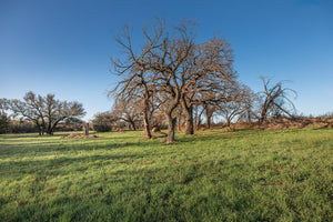 Antelope Camp & Farm