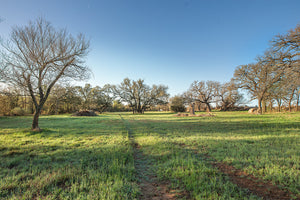 Antelope Camp & Farm