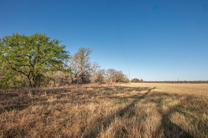 Antelope Camp & Farm