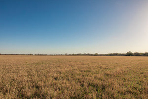 Antelope Camp & Farm