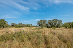Shady Oaks Ranch