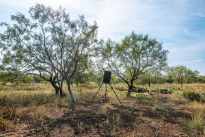 Shady Oaks Ranch