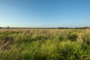 Long Valley Ranch