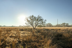 Long Valley Ranch