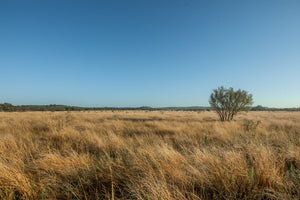Long Valley Ranch