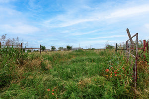Texas Star Ranch