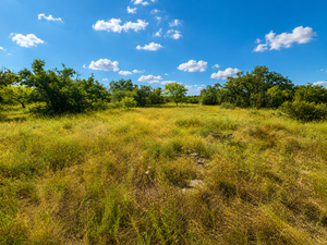 Randor Ranch