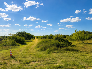 Randor Ranch