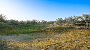 ELG Ranch | Scenic 334-Acre Hunting & Cattle Property for Sale Near Eden, Texas | Jacoby Land Co