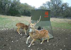 Hill Top Ranch