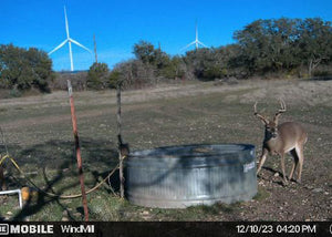 Hill Top Ranch