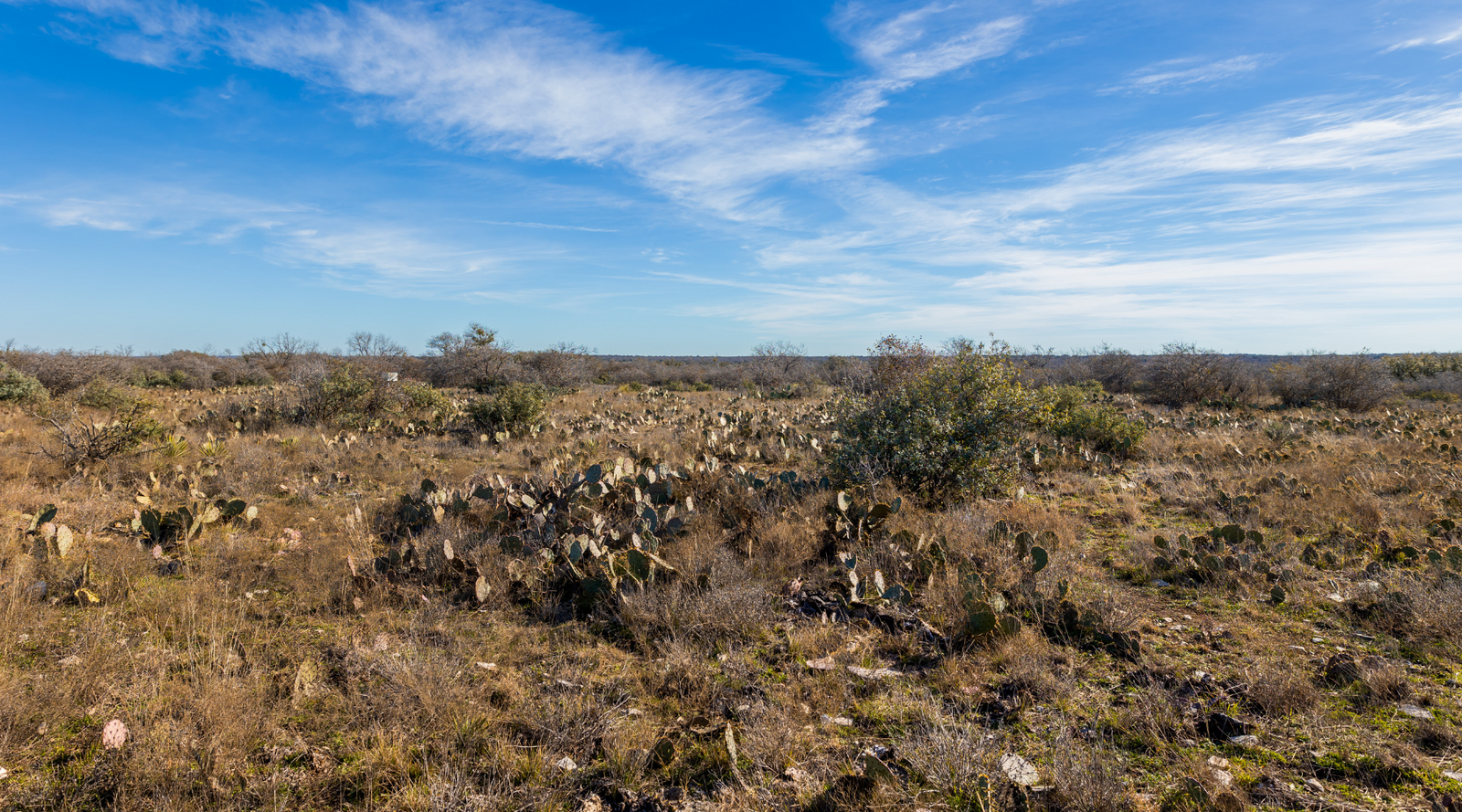 Buck Stop Ranch | 129-Acre Hunting Property with Barndominium for Sale in McCulloch County, Texas | Jacoby Land Co