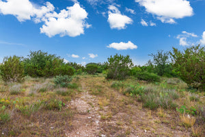 Coffee Ranch