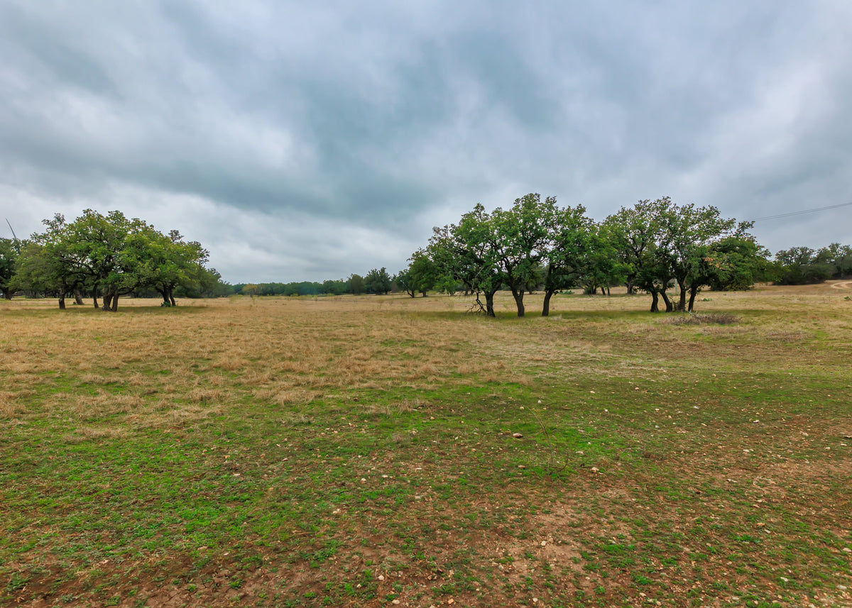 Hill Top Ranch