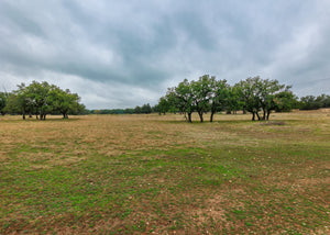 Hill Top Ranch