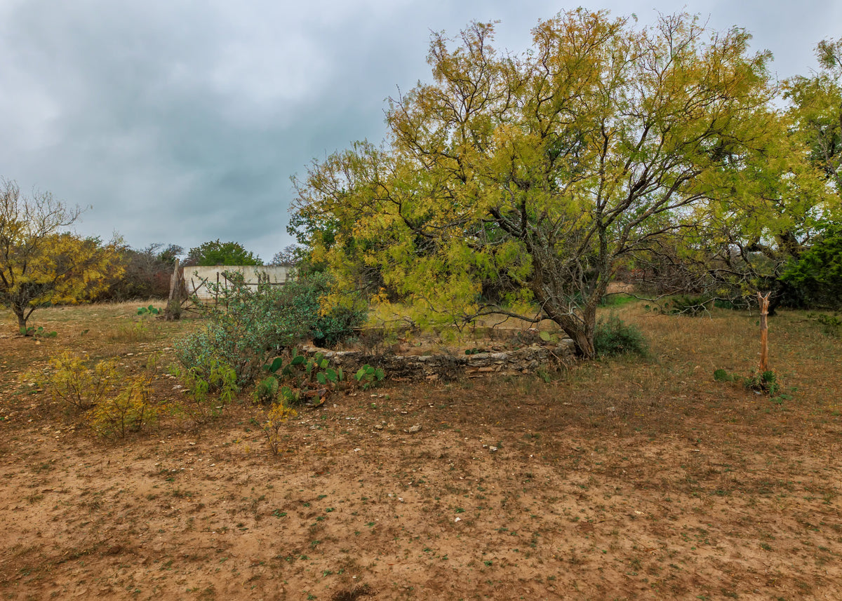 Hill Top Ranch