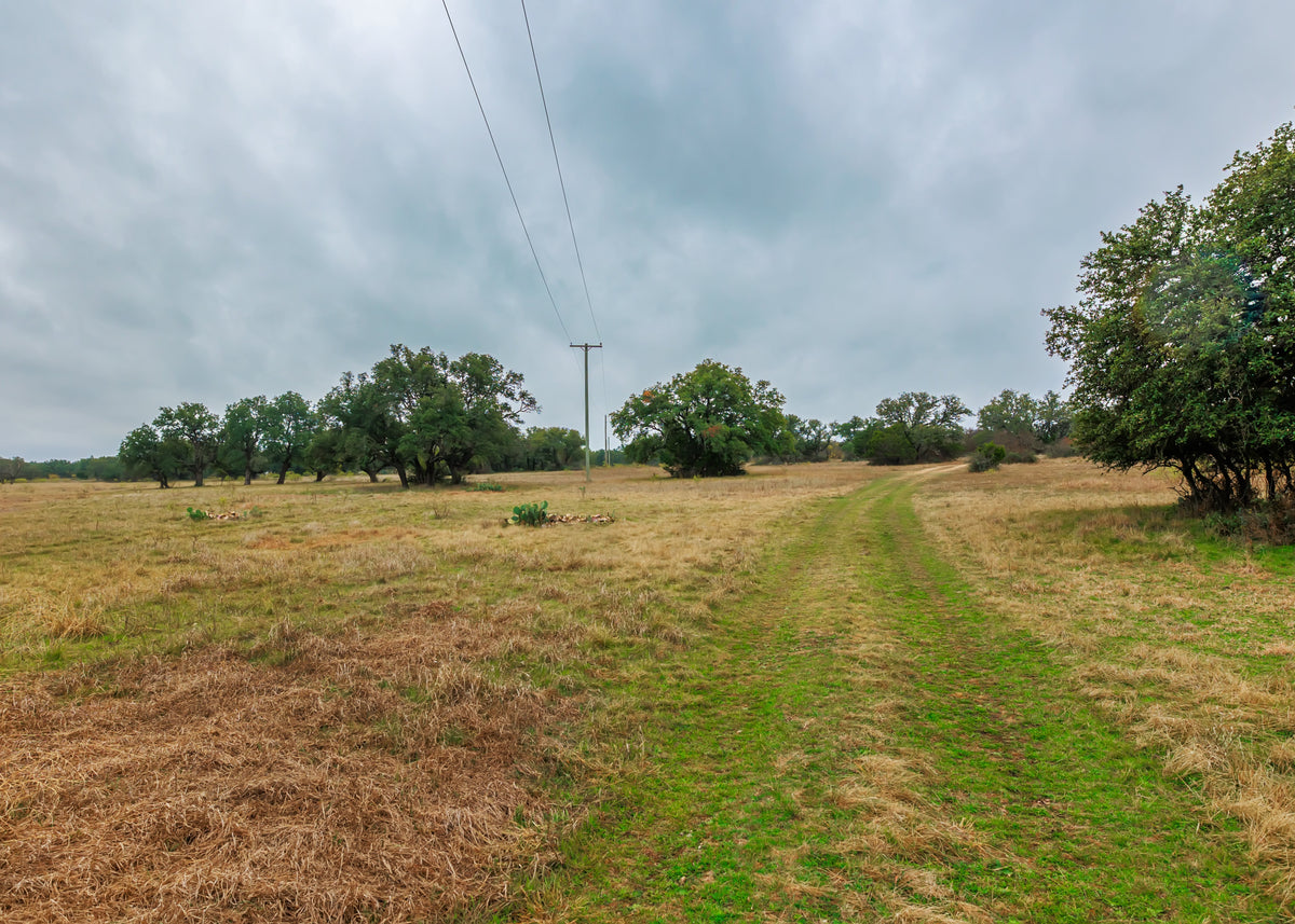 Hill Top Ranch