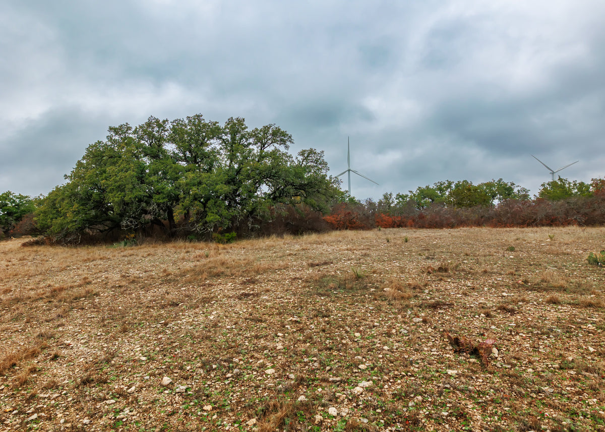 Hill Top Ranch