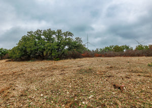 Hill Top Ranch
