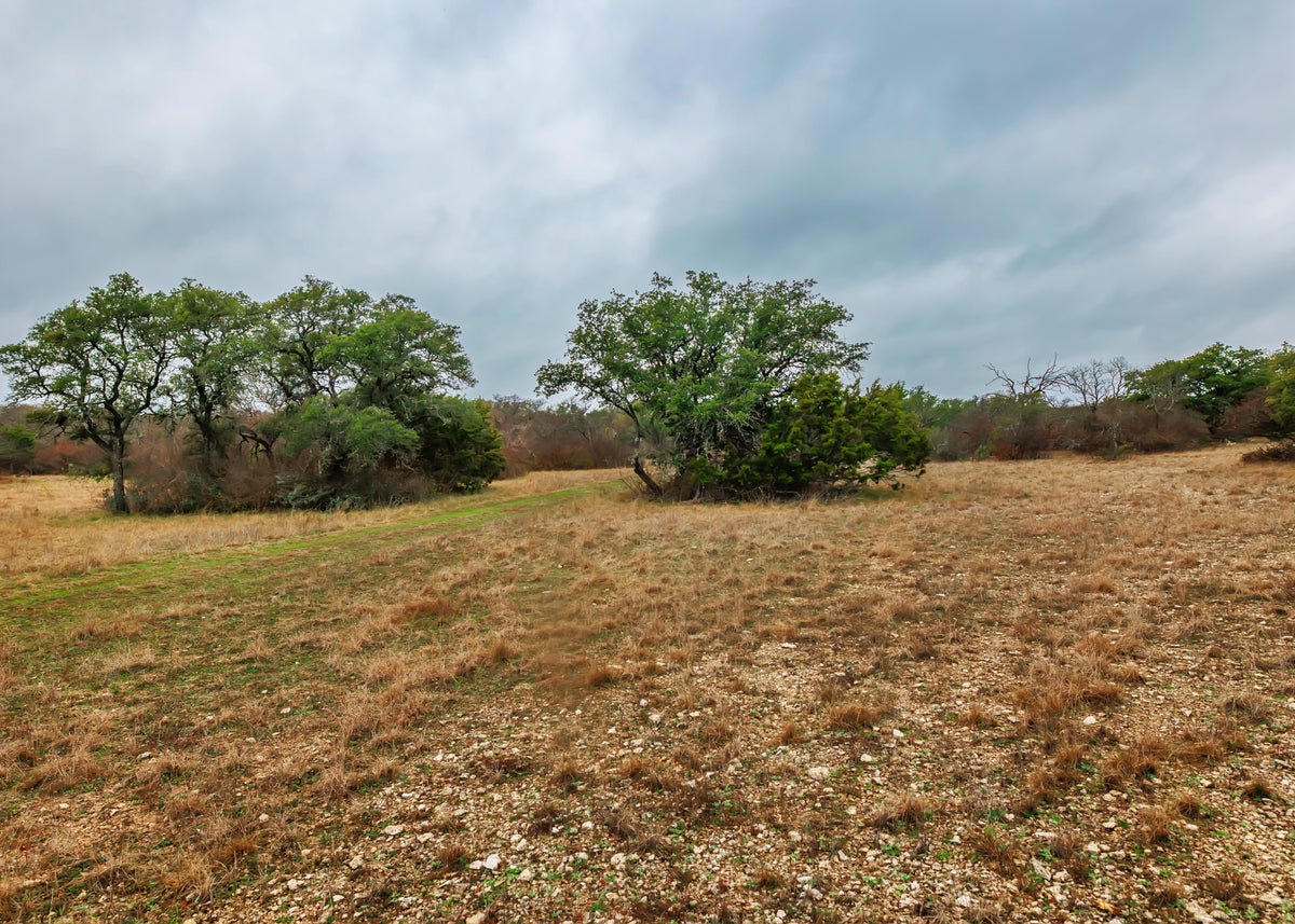 Hill Top Ranch
