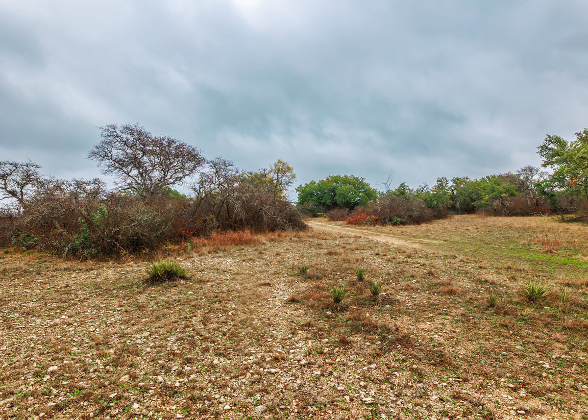 Hill Top Ranch