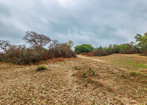 Hill Top Ranch